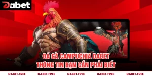 Đá Gà Campuchia Dabet Thông Tin Bạn Cần Phải Biết