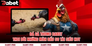 Đá Gà Thomo Dabet - Thoi Dõi Những Màn Đấu So Tài Siêu HOT  