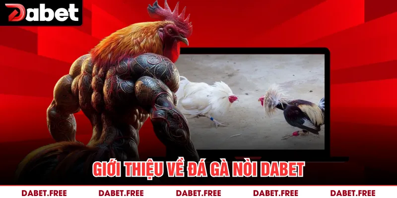 Giới thiệu về đá gà nòi Dabet