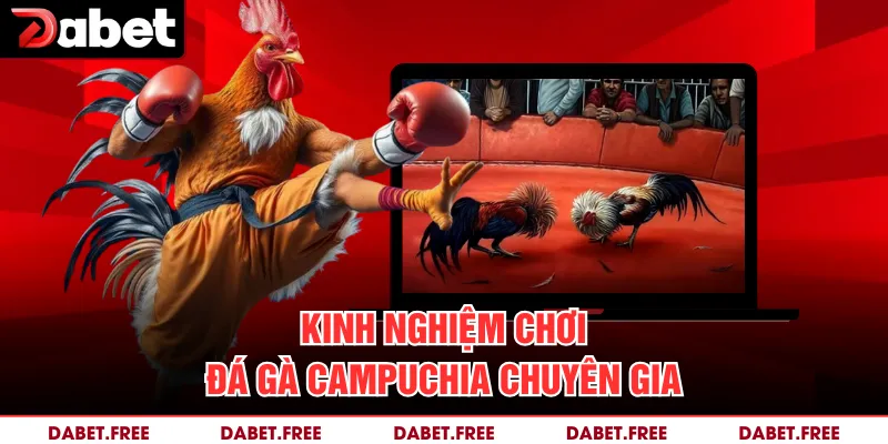 Kinh nghiệm chơi đá gà Campuchia chuyên gia
