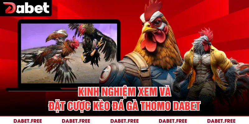 Kinh nghiệm xem và đặt cược kèo đá gà Thomo Dabet