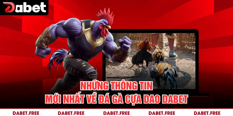 Những thông tin mới nhất về đá gà cựa dao Dabet 