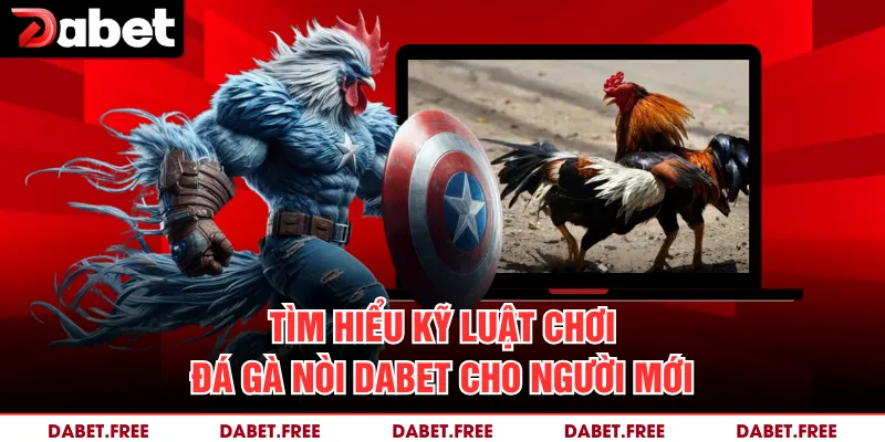Tìm hiểu kỹ luật chơi đá gà nòi Dabet cho người mới